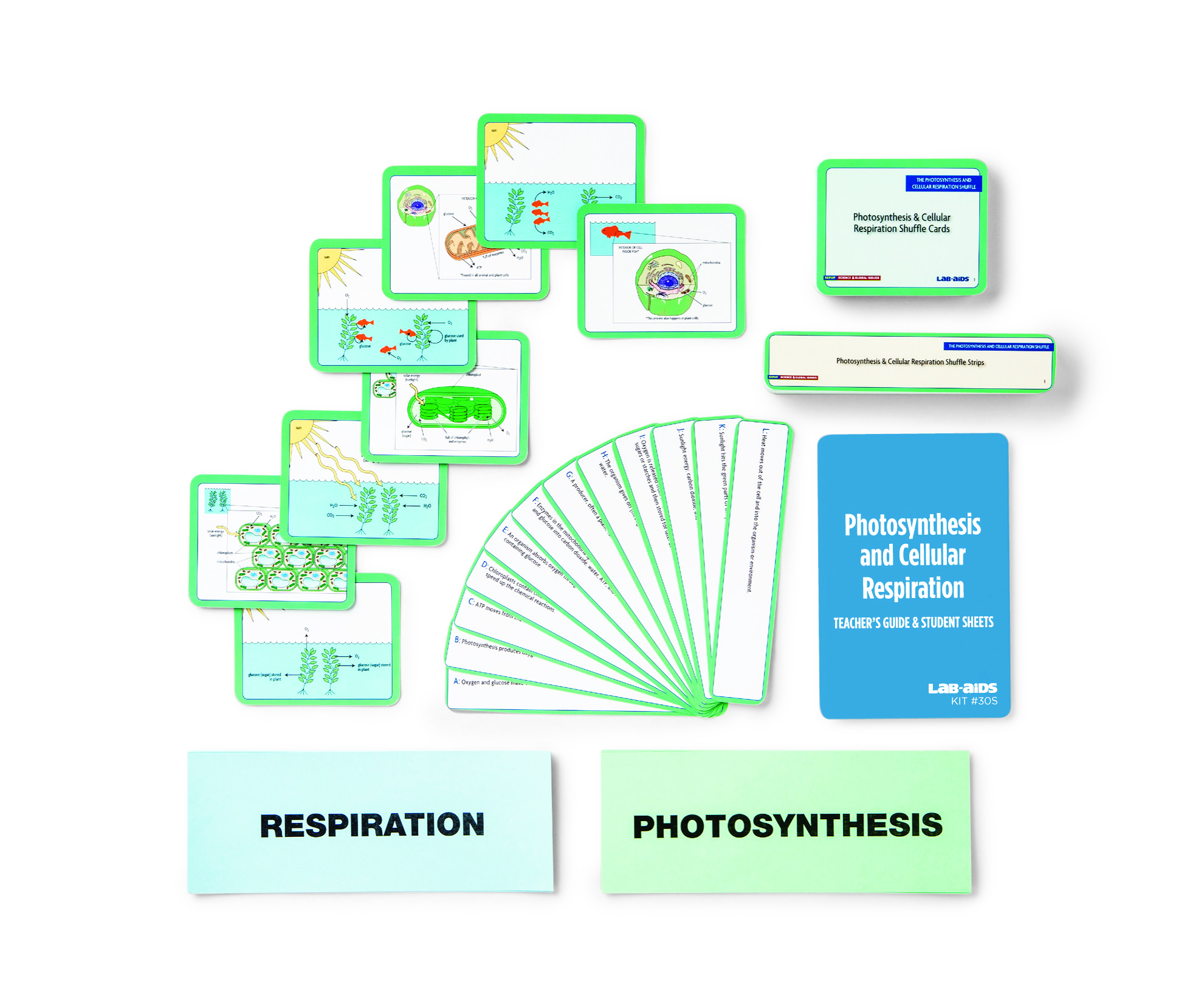 card sets included in the Photosynthesis and Respiration kit