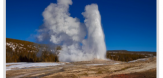 Disruptions in Ecosystems Achieve example Thumbnail