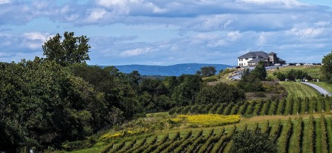 Virginia State Banner Image