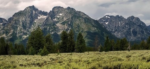 Wyoming State Banner Image