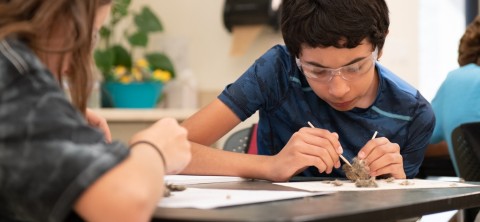 Boy student intently dissects owl pellet